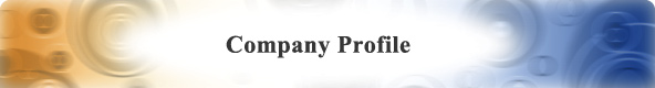 Company Profile